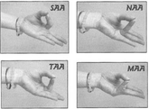 DHS kirtan kriya mudra