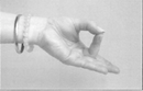 shuni mudra