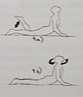 SPSEEI06